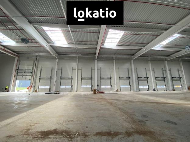 Pronájem skladu, Ostrava - Vítkovice, 1310 m2