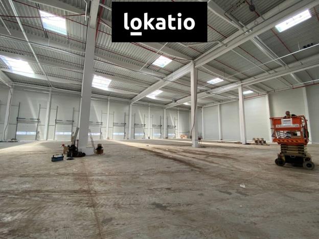 Pronájem skladu, Ostrava - Vítkovice, 1310 m2