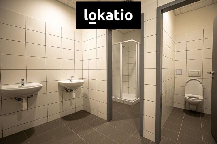 Pronájem skladu, Ostrava - Vítkovice, 1310 m2