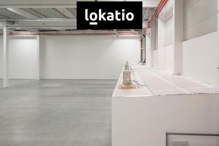 Pronájem skladu, Ostrava - Vítkovice, 10275 m2