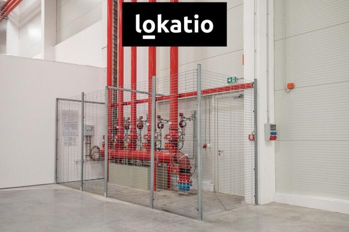 Pronájem skladu, Ostrava - Vítkovice, 10275 m2