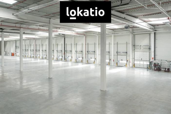 Pronájem skladu, Ostrava - Vítkovice, 10275 m2