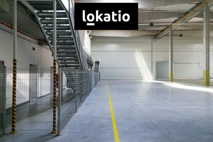 Pronájem skladu, Bor, 1452 m2