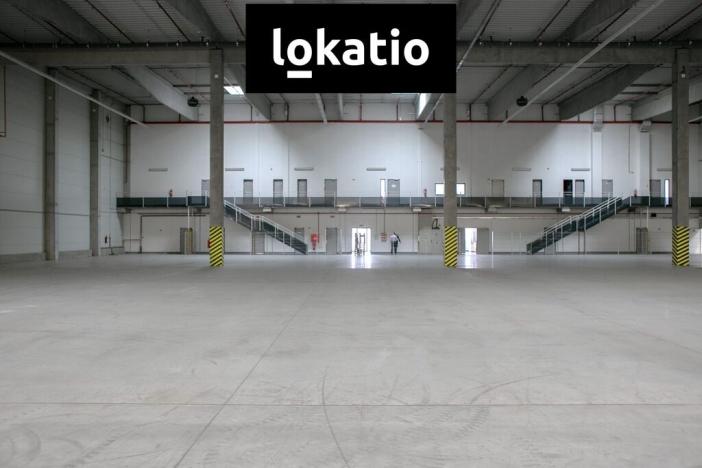 Pronájem skladu, Bor, 1452 m2