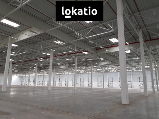 Pronájem skladu, Přehýšov, 30700 m2