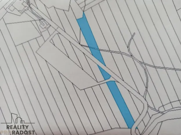 Prodej lesa, Vilémovice, 7168 m2