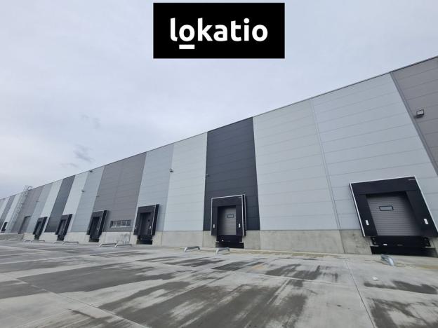 Pronájem skladu, Prostějov, 4500 m2