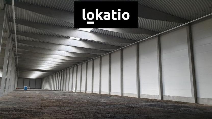 Pronájem skladu, Prostějov, 4500 m2