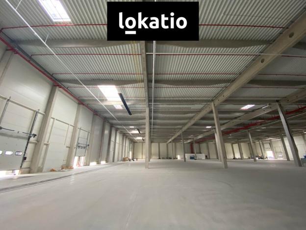 Pronájem výrobních prostor, Olomouc, 3602 m2