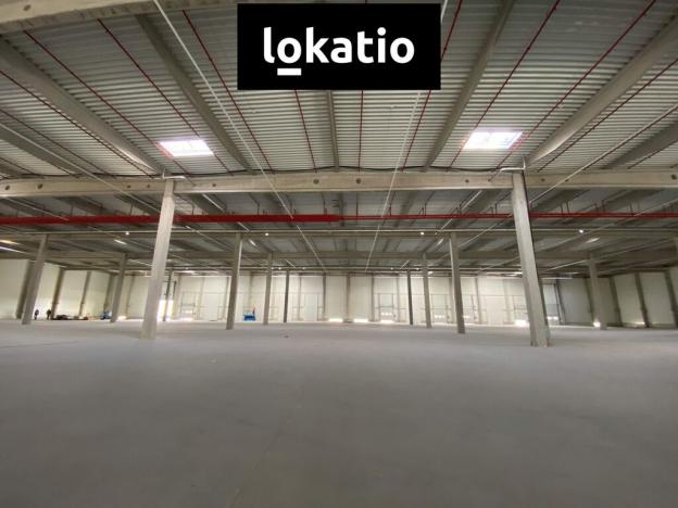 Pronájem výrobních prostor, Olomouc, 4690 m2