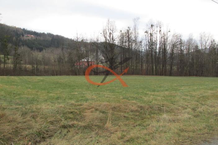 Prodej louky, Hutisko-Solanec, 7947 m2