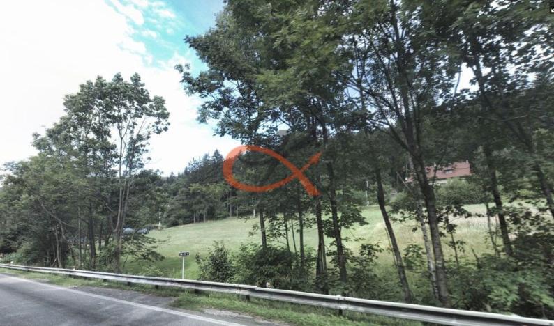 Prodej trvalého travního porostu, Rožnov pod Radhoštěm, Ostravská, 7218 m2