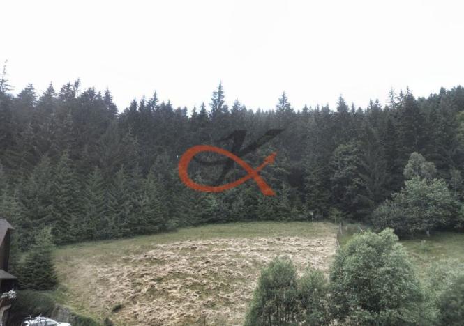 Prodej lesa, Hutisko-Solanec, 9679 m2