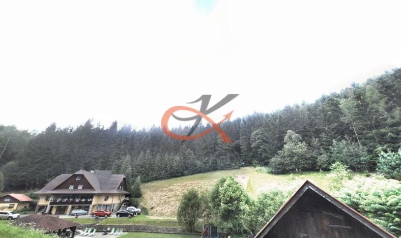 Prodej lesa, Hutisko-Solanec, 9679 m2