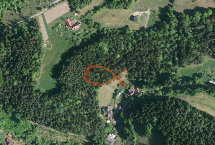 Prodej lesa, Hutisko-Solanec, 9679 m2