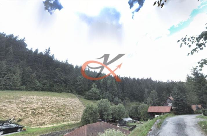 Prodej lesa, Hutisko-Solanec, 9679 m2