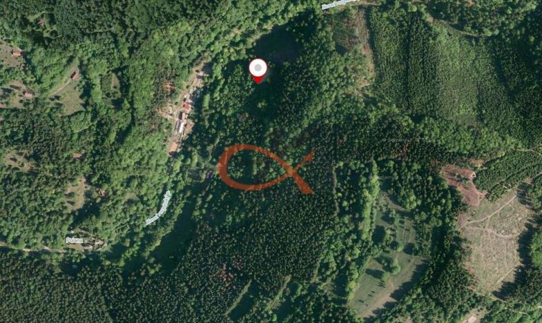 Prodej lesa, Dolní Bečva, 15729 m2