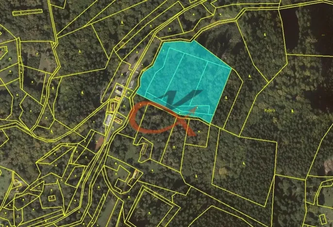 Prodej lesa, Dolní Bečva, 15729 m2