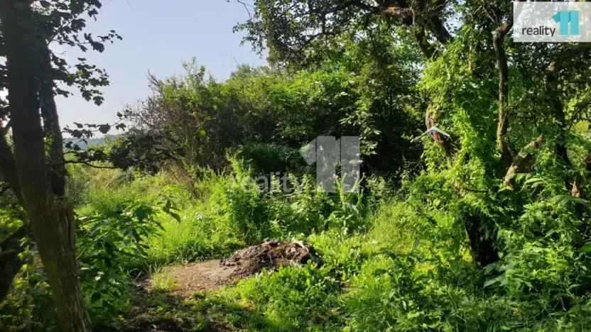 Prodej louky, Praha - Liboc, 217 m2