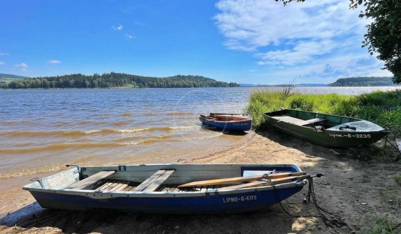 Prodej pozemku, Horní Planá, 123129 m2