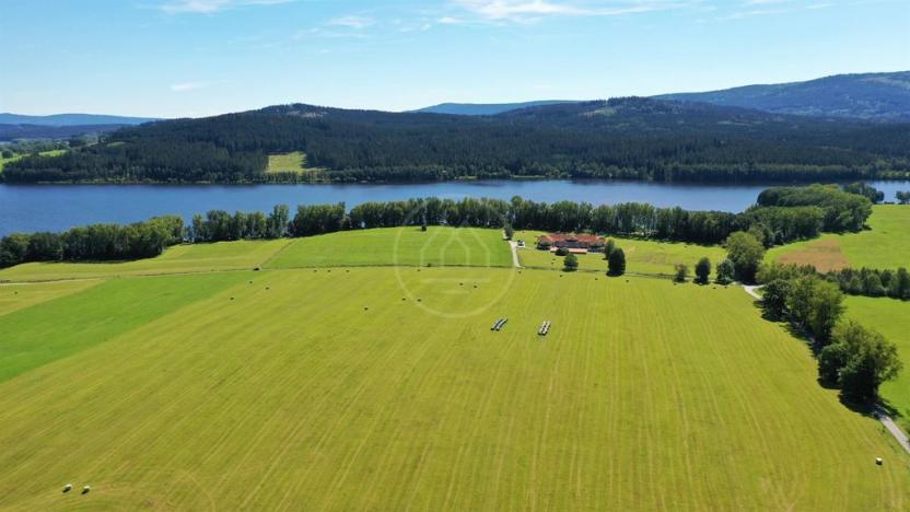 Prodej zemědělské půdy, Horní Planá, 92549 m2