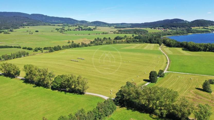 Prodej zemědělské půdy, Horní Planá, 92549 m2