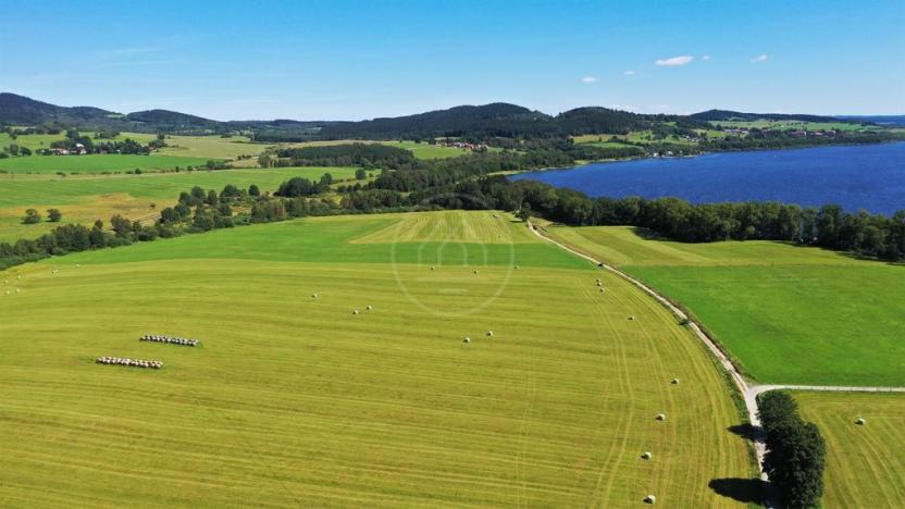 Prodej zemědělské půdy, Horní Planá, 92549 m2