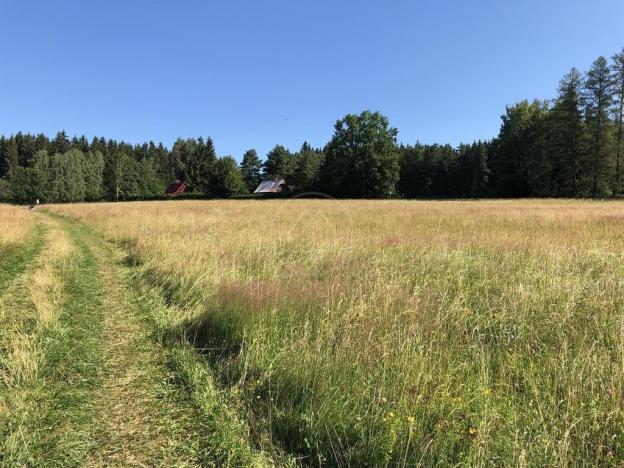 Prodej zemědělské půdy, Frymburk, 43621 m2