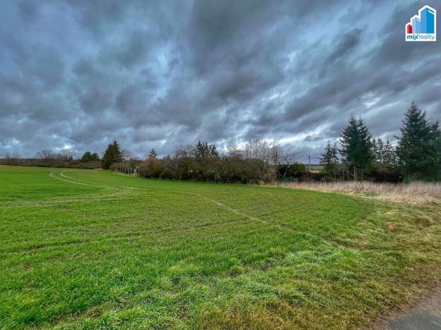 Prodej zemědělské půdy, Heřmanova Huť, Březová, 32493 m2