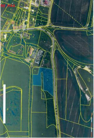 Prodej trvalého travního porostu, Třebsko, 6483 m2