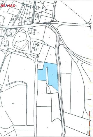 Prodej trvalého travního porostu, Třebsko, 6483 m2