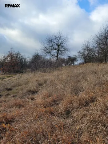 Prodej trvalého travního porostu, Třebsko, 6483 m2