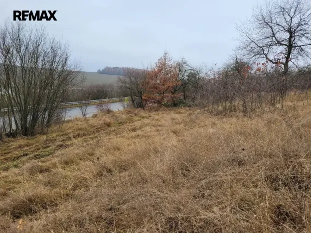 Prodej trvalého travního porostu, Třebsko, 6483 m2