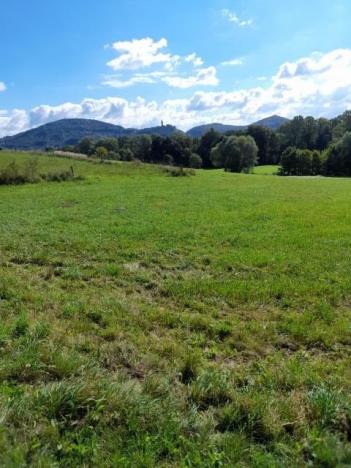 Pronájem zahrady, Závišice, 600 m2