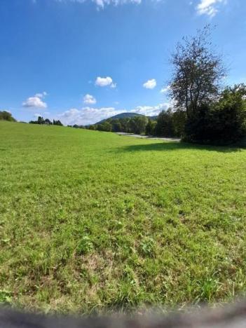 Pronájem zahrady, Závišice, 600 m2