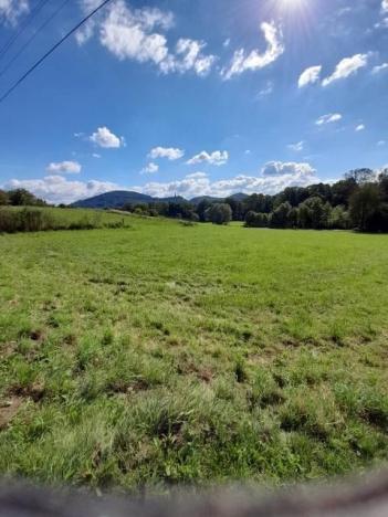 Pronájem zahrady, Závišice, 600 m2