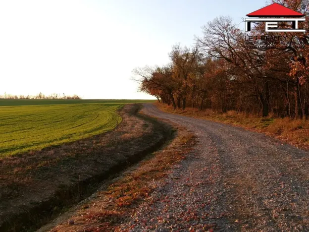 Prodej louky, Vranovice, 6440 m2