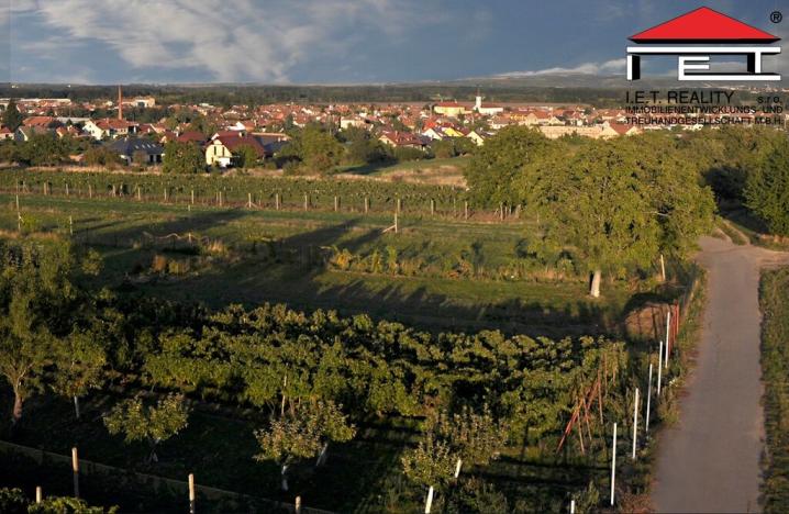 Prodej zemědělské půdy, Vranovice, 2575 m2