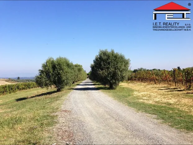 Prodej zahrady, Vranovice, 350 m2