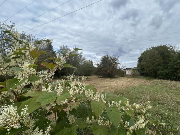 Prodej zahrady, Hodonín, 1611 m2