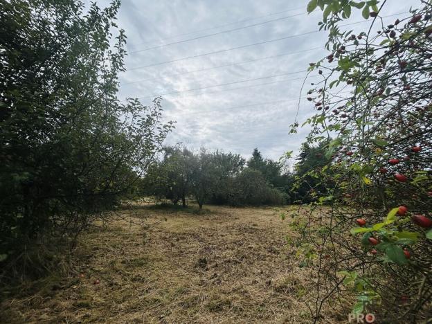 Prodej zahrady, Hodonín, 1611 m2