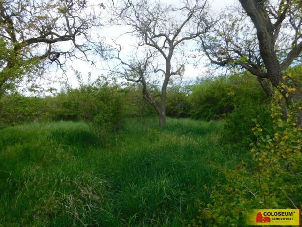 Prodej zahrady, Znojmo, 609 m2