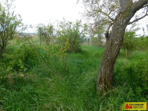 Prodej zahrady, Znojmo, 609 m2