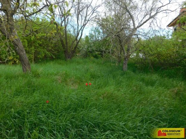 Prodej zahrady, Znojmo, 609 m2