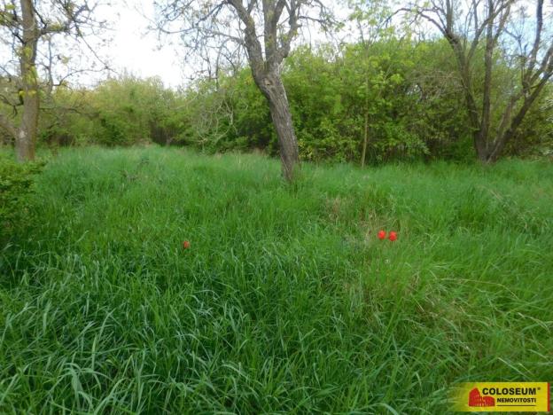 Prodej zahrady, Znojmo, 609 m2