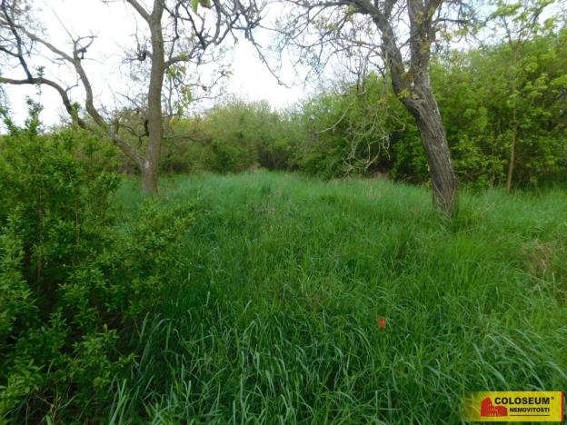 Prodej zahrady, Znojmo, 609 m2