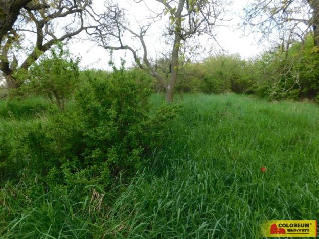 Prodej zahrady, Znojmo, 609 m2