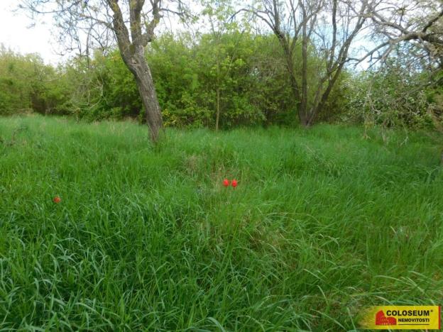 Prodej zahrady, Znojmo, 609 m2