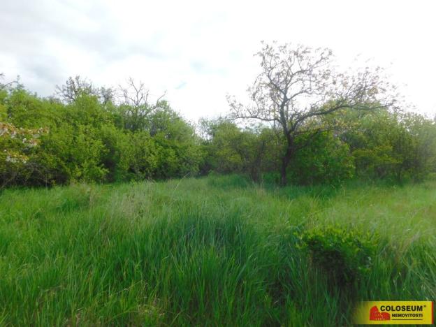 Prodej zahrady, Znojmo, 473 m2