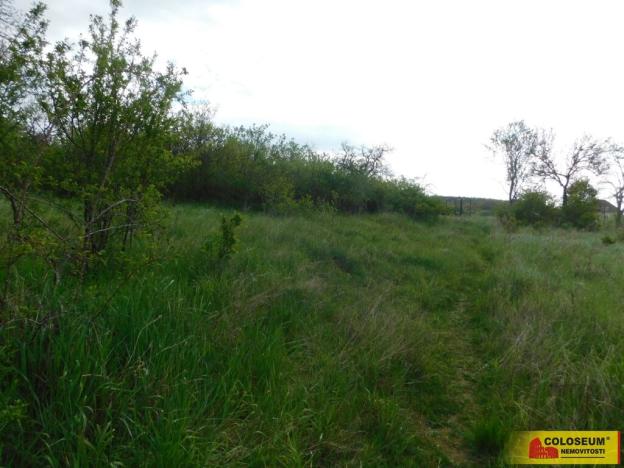 Prodej zahrady, Znojmo, 473 m2